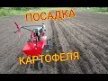 Посадка Картофеля Мотоблоком ОКА и Переделанной Картофелесажалкой КСМ-1