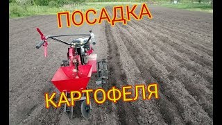 Посадка Картофеля Мотоблоком ОКА и Переделанной Картофелесажалкой КСМ-1