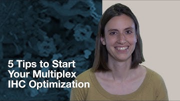 5 Tips to Start Your Multiplex IHC Optimization | CST Tech Tips