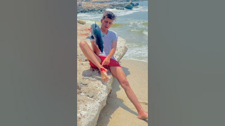ظهور قرش في شاطئ الاسكندرية 😱
