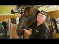 Stud Life: Cambridge Stud Racing Stables