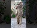 costomize dress #trending #fashion #dress #viral #summer #collection #viralvideo
