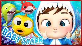 Baby shark catches small fish + More Nursery Rhymes &amp; Kids Songs | Banana Cartoon 3D