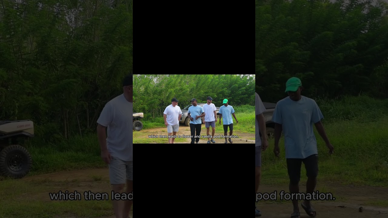 Madagascar Vanilla: 99% Grown the Traditional Way 🌱 