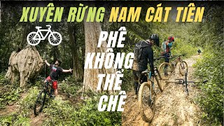 Ai cũng nên thử đạp xe xuyên rừng Nam Cát Tiên | Vắt cắn, gai đâm, và chụp ếch …