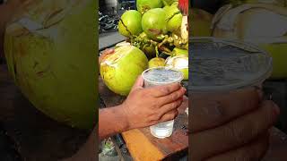I Bought The World's Best Coconut!