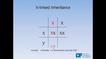 X-Linked Agammaglobulinemia (XLA)