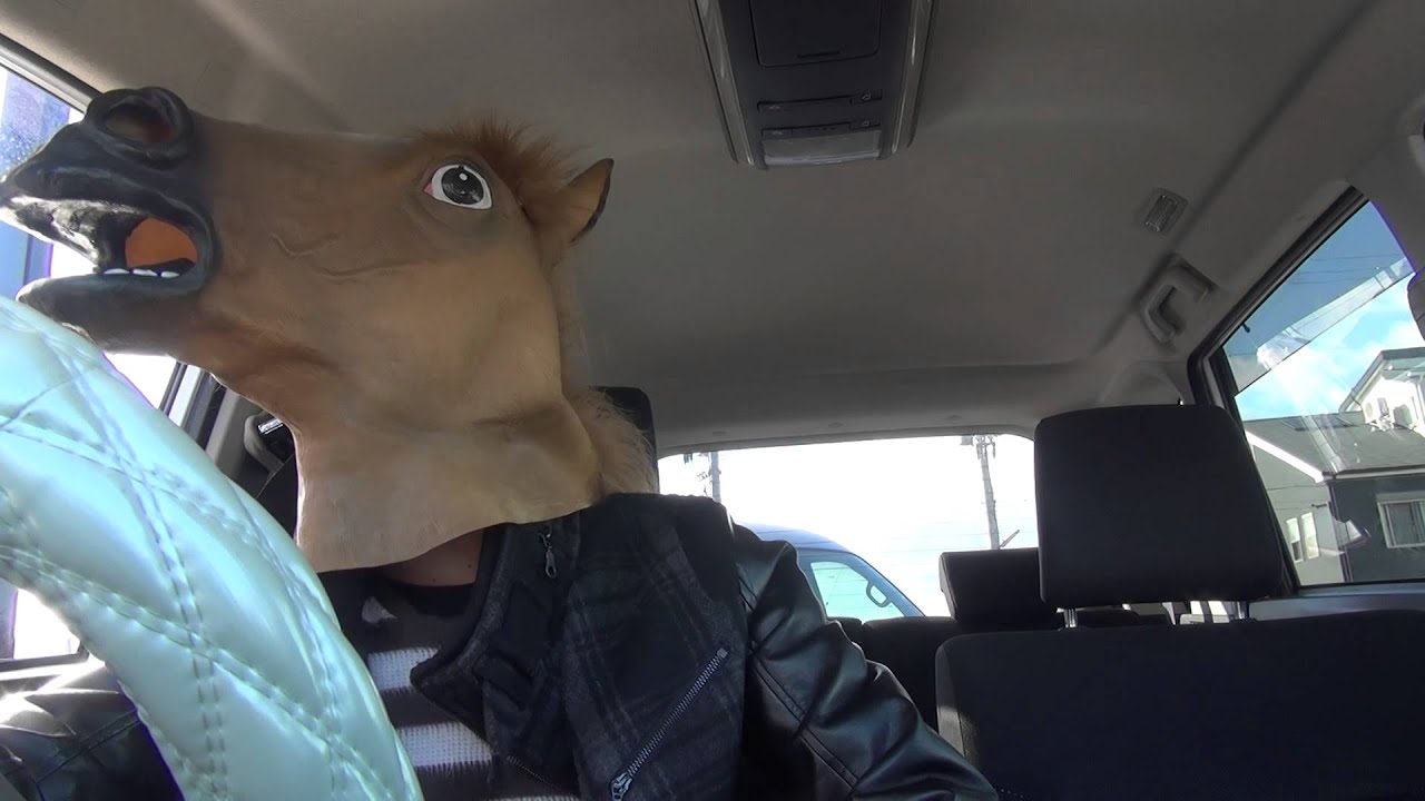 マクドナルドを馬でドライブスルー Horse In Drive Through 笑ってちょうだい Youtube