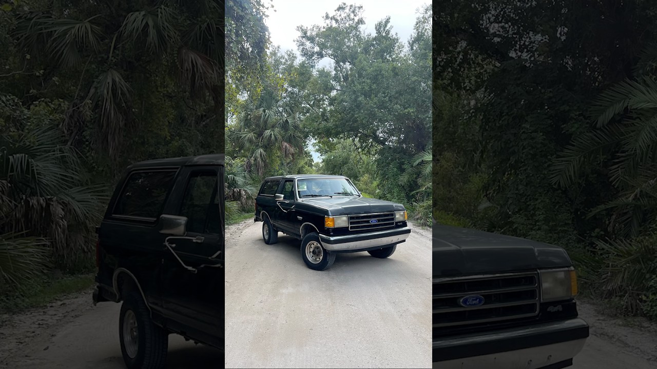 My 1989 Ford BRONCO XLT 