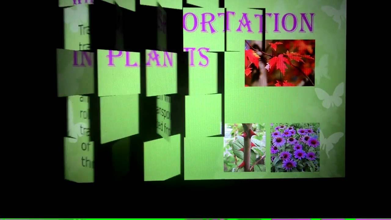 ppt on transportation in plants cbse based youtube plants ppt