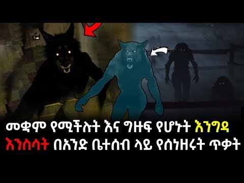 ቪዲዮ: መግደላዊት ማርያም ቤተ ክርስቲያን