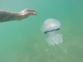 Polmone di mare a Miramare di Rimini