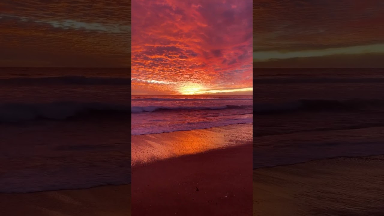 4K Video of Colorful Scene Under Sunset During Golden Hour / Amazing Nature Scenery 