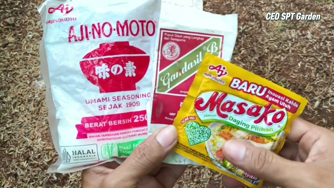 Luar biasa Racikan pupuk ini !! Bisa Memaksa semua tanaman berbuah Lebat ! Modal 3 bahan saja Loh !