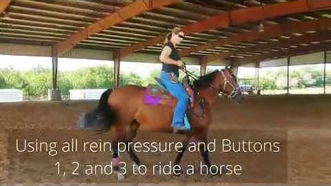 How to ride a horse and control her Shoulders, ribcage and hindquarters using Leg Buttons 1, 2 and 3