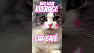 Number 5 will blow your mind!! 🤯 #travel