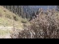 SuperHit Gojri Bait By Ayub Chaudhary Gojri Songs GOJRI VIDEO SuperHit Gojri Bait By Ayub Chaudhary Gojri Songs GOJRI VIDEO