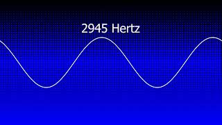 2945 Hz 🕊️ Expand Inner Space | Clear Mental Clutter, Restore Lightness ✨