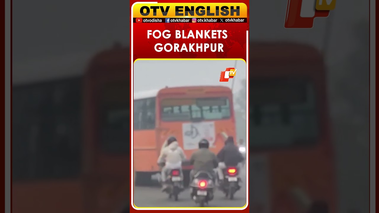 Fog Blankets Gorakhpur As Cold Wave Grips Uttar Pradesh