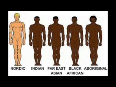a comparison of nazism and racism throughout history Why are egalitarian societies particularly susceptible to virulent racism what do apartheid south africa, nazi comparison of racism racism: a short history. a comparison of nazism and racism throughout history Why are egalitarian societies particularly susceptible to virulent racism what do apartheid south africa, nazi comparison of racism racism: a short history.