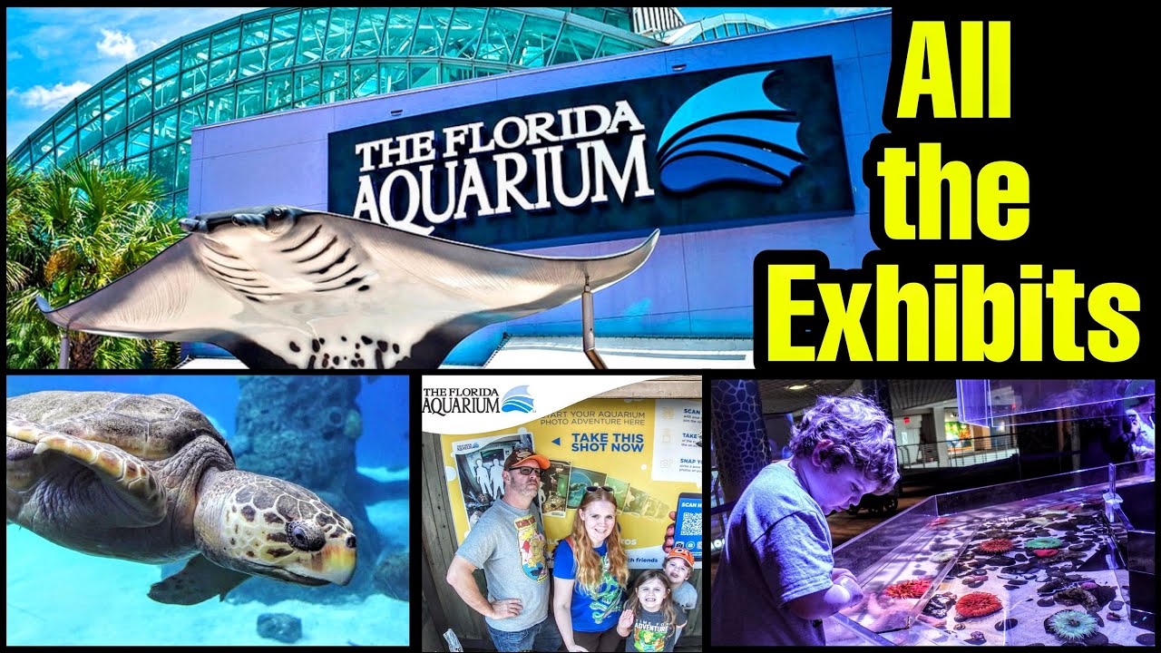 The Florida Aquarium, All the Exhibits at the Tampa Aquarium