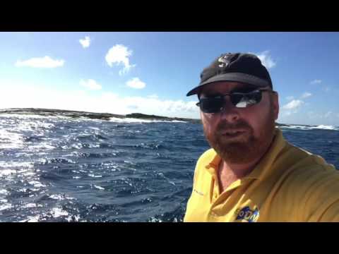 Dive Reports | Dive Report Labour Day 1st May 2017