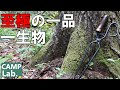 【キャンプ道具】最高にカッコいい焚火道具ＴＡＫＩＢＩ　ＴＯＮＧＳは一生物です⛺