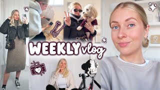 DIY, asos haul & legal contracts for my boyfriend… WEEKLY VLOG by Fabulous Hannah 12,901 views 3 months ago 25 minutes