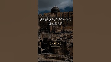 سورة يونس الآية ٣٢ الى ٣٤ بصوت الشيخ محمد صديق المنشاوي