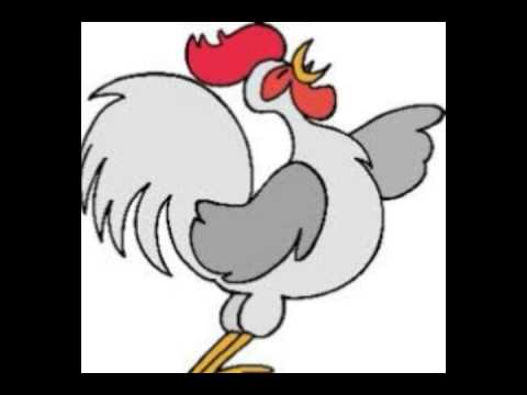 صوت الديك للمونتاج 