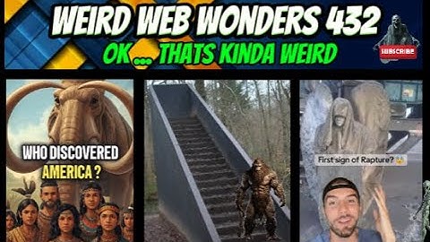 weird web wonders 432