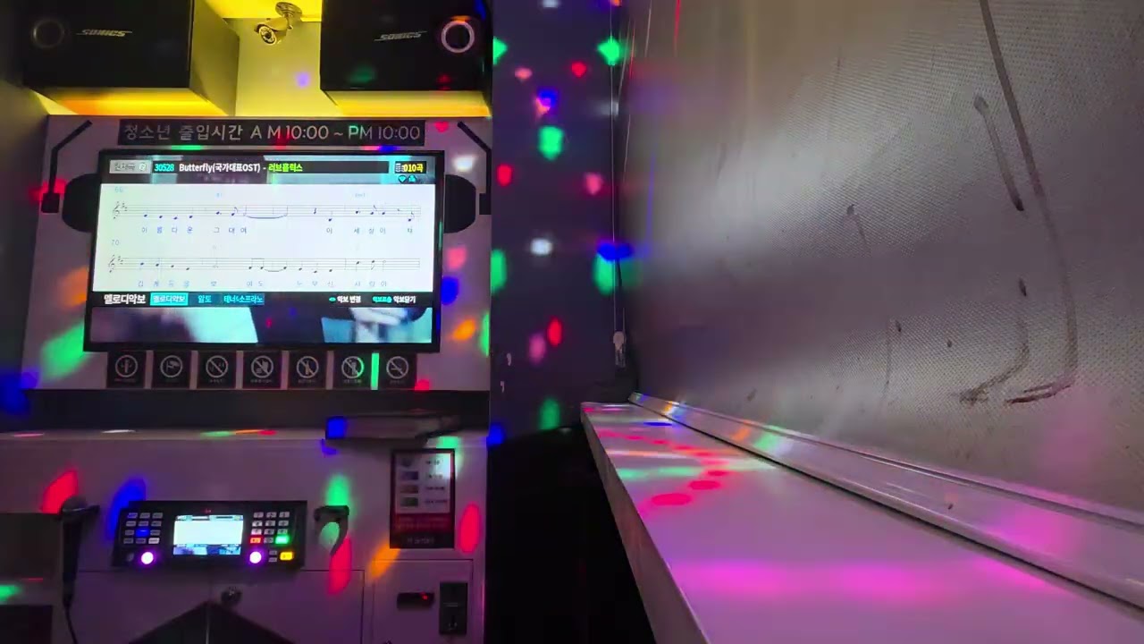 Butterfly (국가대표OST) - 러브홀릭스 노래방 커버