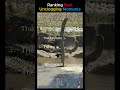 Ranking Best Unclogging Moments