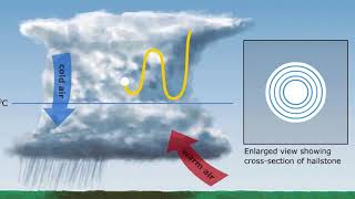 Celebrity Hail Animation Wealth