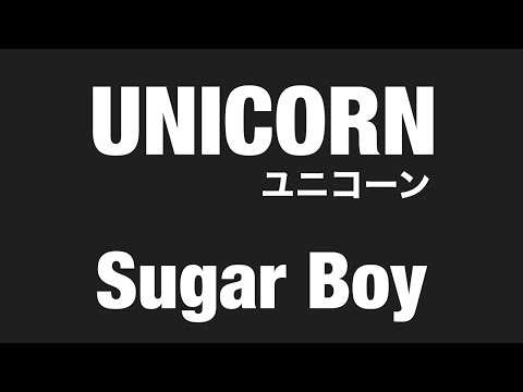 【 弾いてみた 】 UNICORN / Sugar Boy【 Guitar Cover 】