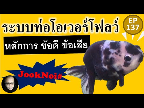 วีดีโอ: คุณจะรู้ได้อย่างไรว่าโอเวอร์โฟลว์มีการลงชื่อเพิ่มเติมหรือไม่?