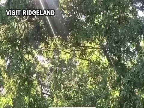 Visit Ridgeland still celebrating National Travel and Tourism Week