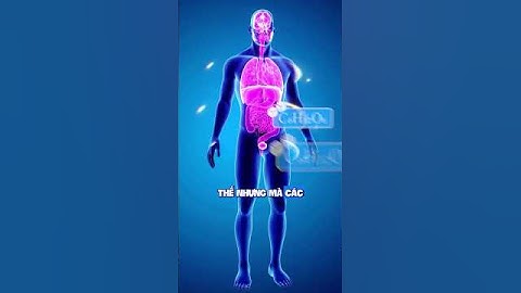 Nhịn ăn sáng có thực sự tốt