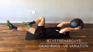 Dead Bugs Upper Extremity Variation