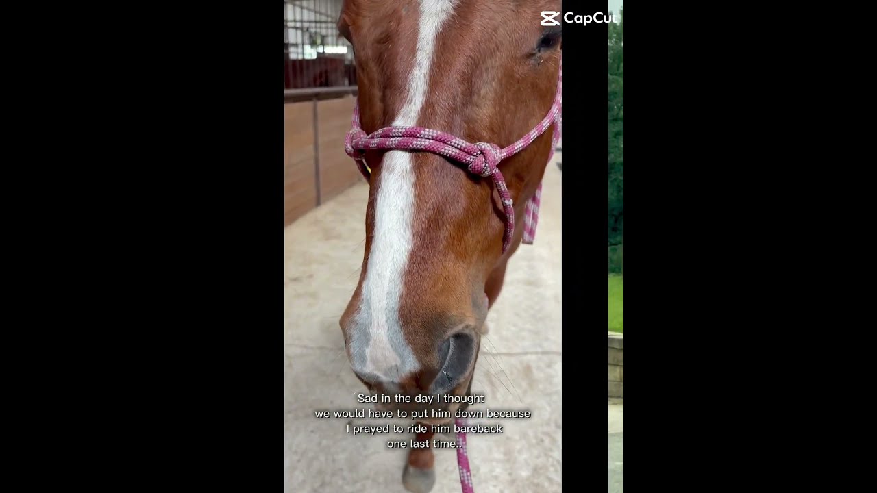 He Answered Colicsucks Rideforspider