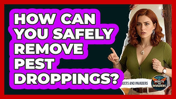 How Can You Safely Remove Pest Droppings? - Insects and Invaders