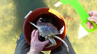 2024 primitive crabbing season in the Pacific Northwest is underway! Day one 31724