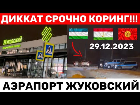 ЖУКОВСКИЙ АЭРАПОРТ ХОЗИРРОК КОРИНГ!!! ДОКУМЕНТИ ЁКЛАР УЧУН ТЕГИШЛИ ВИДЕО 29.12.2023🇺🇿🇹🇯🇰🇬