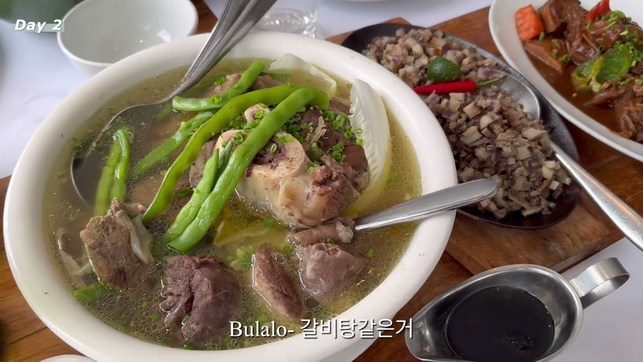 🇵🇭 필리핀 day2 따가이따이 화산