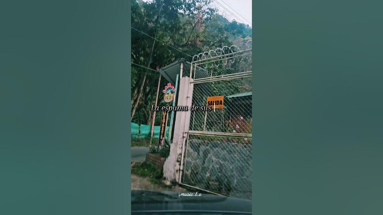 Lo que le paso a Hawaii. Bad bunny #badbunny #musica