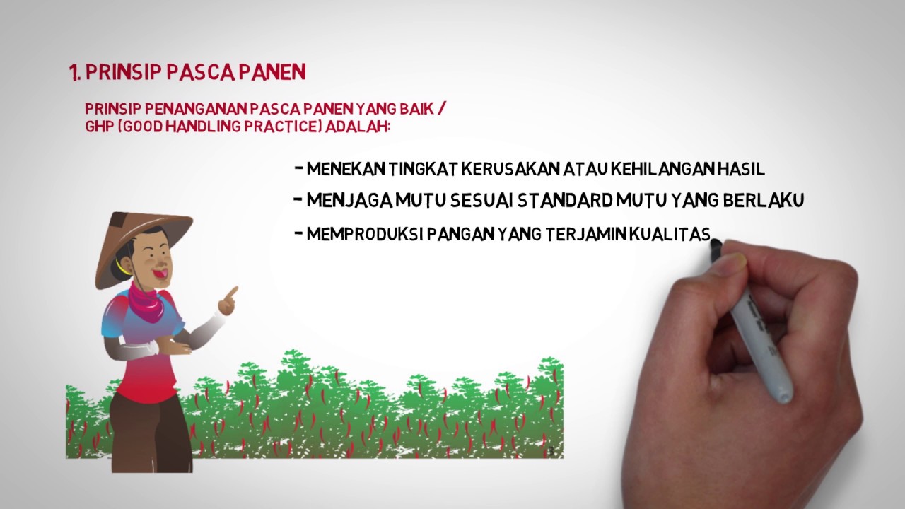 Penanganan Pasca Panen Pangan Segar Asal Tumbuhan