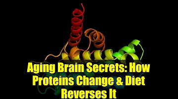 Aging Brain Secrets: How Proteins Change & Diet Reverses It