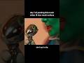Day 1 of posting this music video til Elon Musk notices