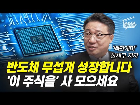 반도체 무섭게 성장합니다 이 주식을 사 모으세요 백만개미 한세구 저자 