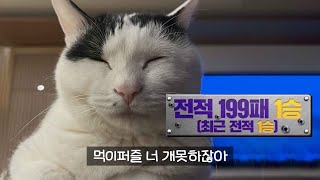 내돈내산 미야옹철수의사의 난이도별 먹이퍼즐 추천템 5가지🧩